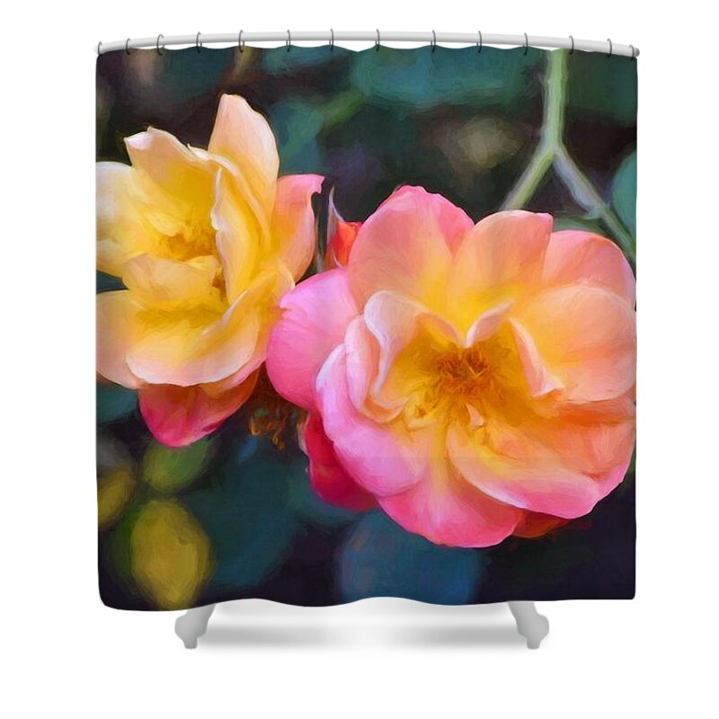Floral Shower Curtain featuring the photograph Rose 345 by Pamela Cooper