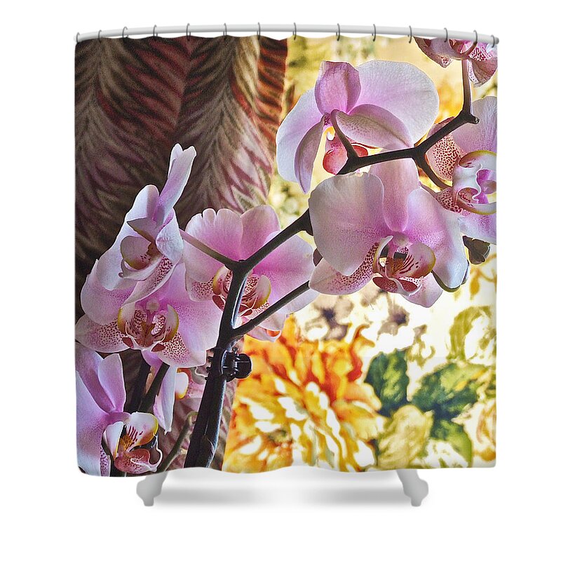 Orchids Shower Curtain featuring the photograph Rose Cottage Orchid by Janis Senungetuk