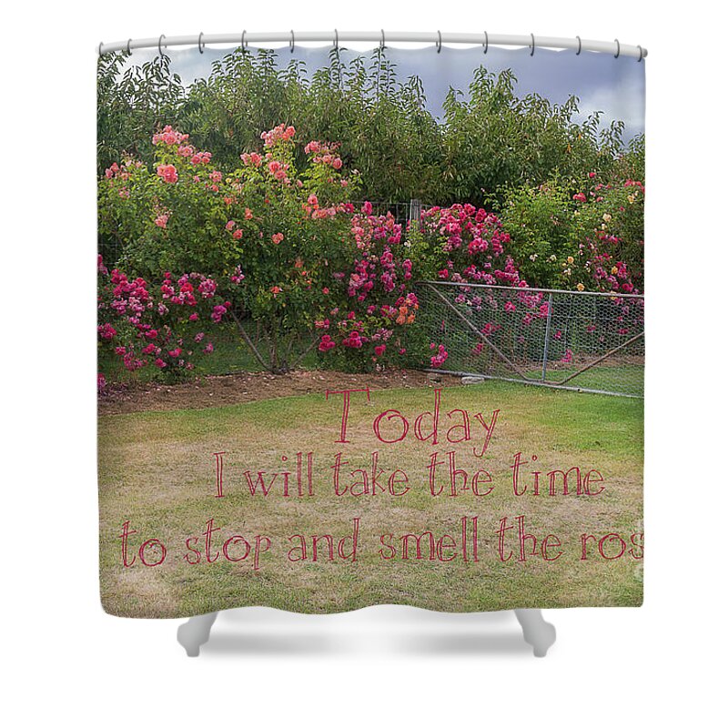 Floral Shower Curtain featuring the photograph Rose Garden by Elaine Teague