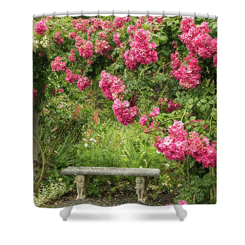 Rose Shower Curtain featuring the photograph Romantic Rose Garden by Marilyn Wilson