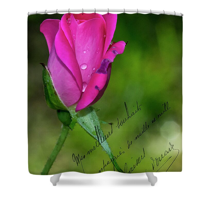 Note Card Shower Curtain featuring the photograph Rose Notes by Cathy Kovarik