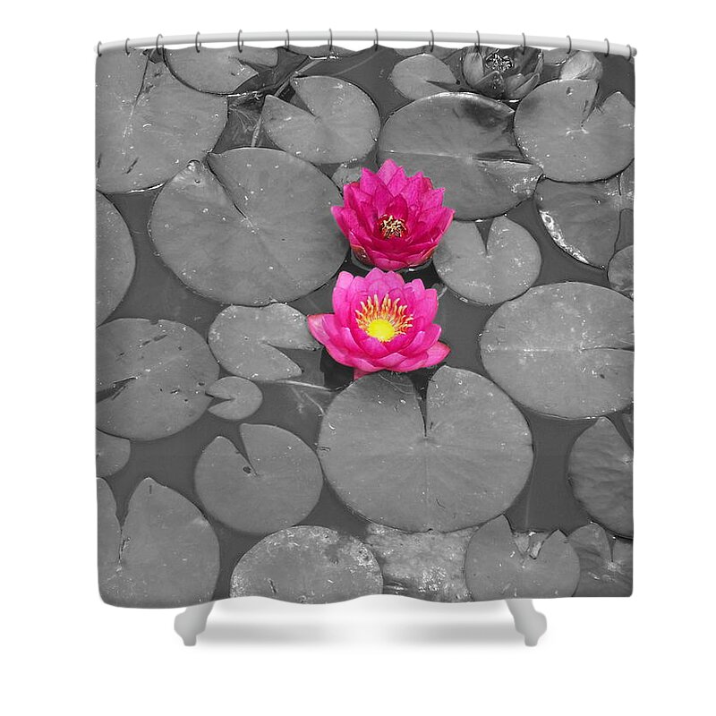 Fuchsia Water Lily Shower Curtain featuring the photograph Rose of the Water by Colleen Cornelius