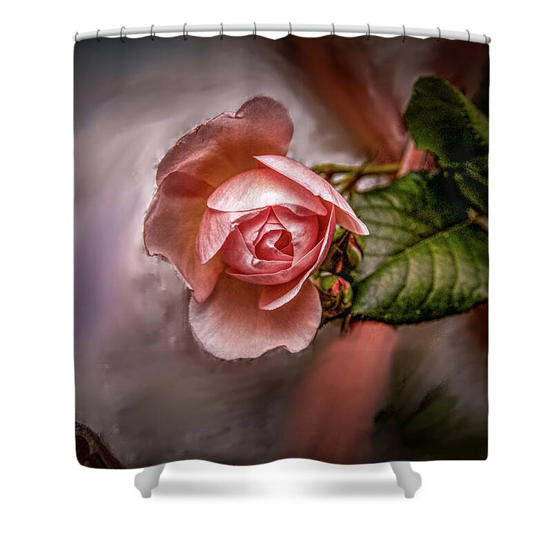 Rose Shower Curtain featuring the mixed media Rose on Paint #g5 by Leif Sohlman