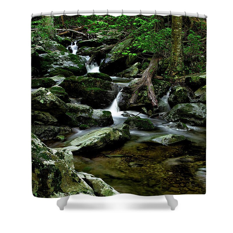 Shenandoah National Park Shower Curtain featuring the photograph Rose River by C Renee Martin