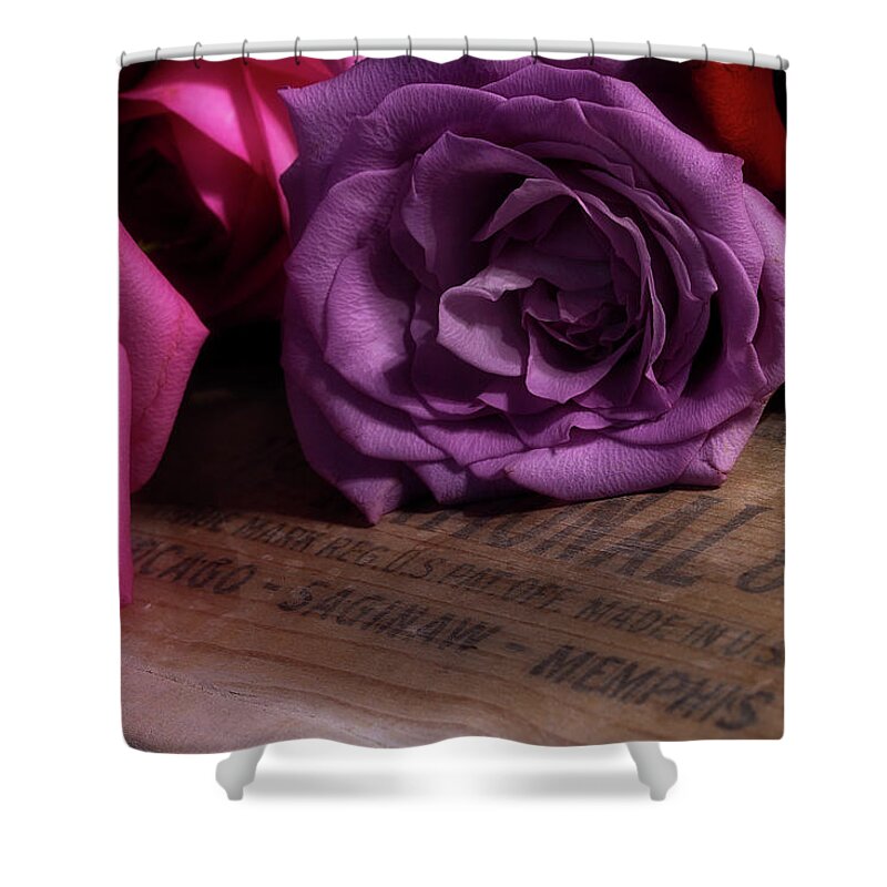 Roses Shower Curtain featuring the photograph Rose Series 2 by Mike Eingle