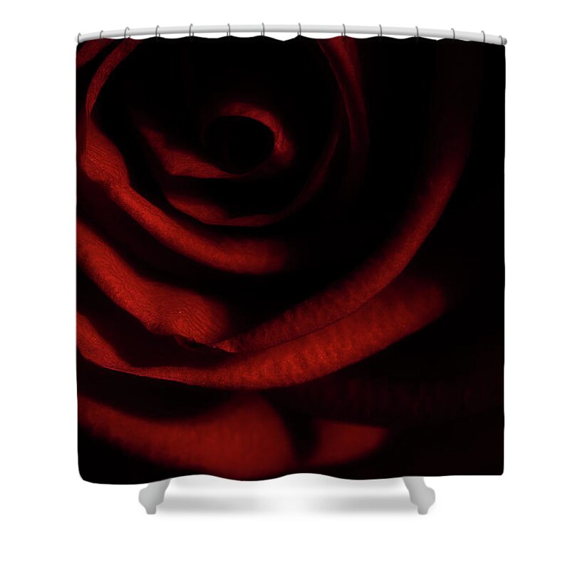 Rose Shower Curtain featuring the photograph Rose Series 3 Red by Mike Eingle