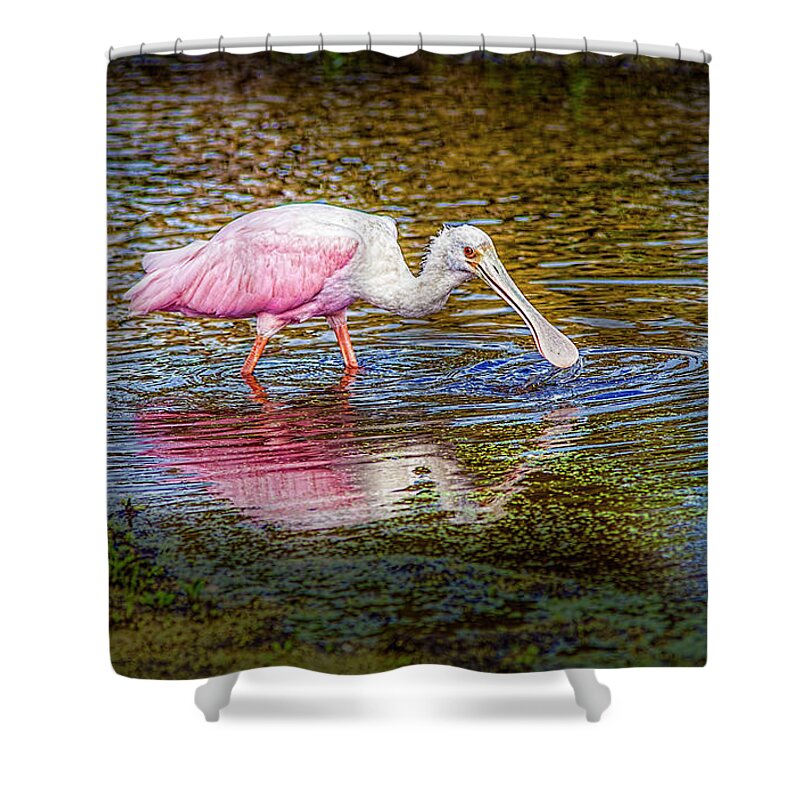 Photographs Shower Curtain featuring the photograph Roseate Spoonbill by Felix Lai