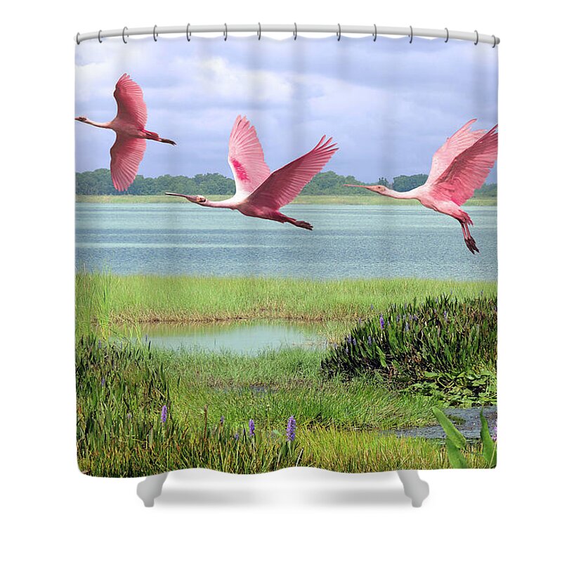 Birds Shower Curtain featuring the digital art Roseate Spoonbills of Florida Bay by M Spadecaller