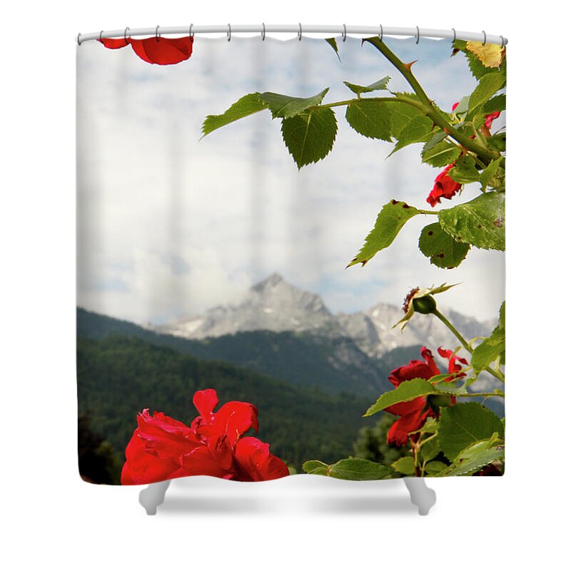 Garmischpartenkirchen Shower Curtain featuring the photograph Roses of the Zugspitze by KG Thienemann