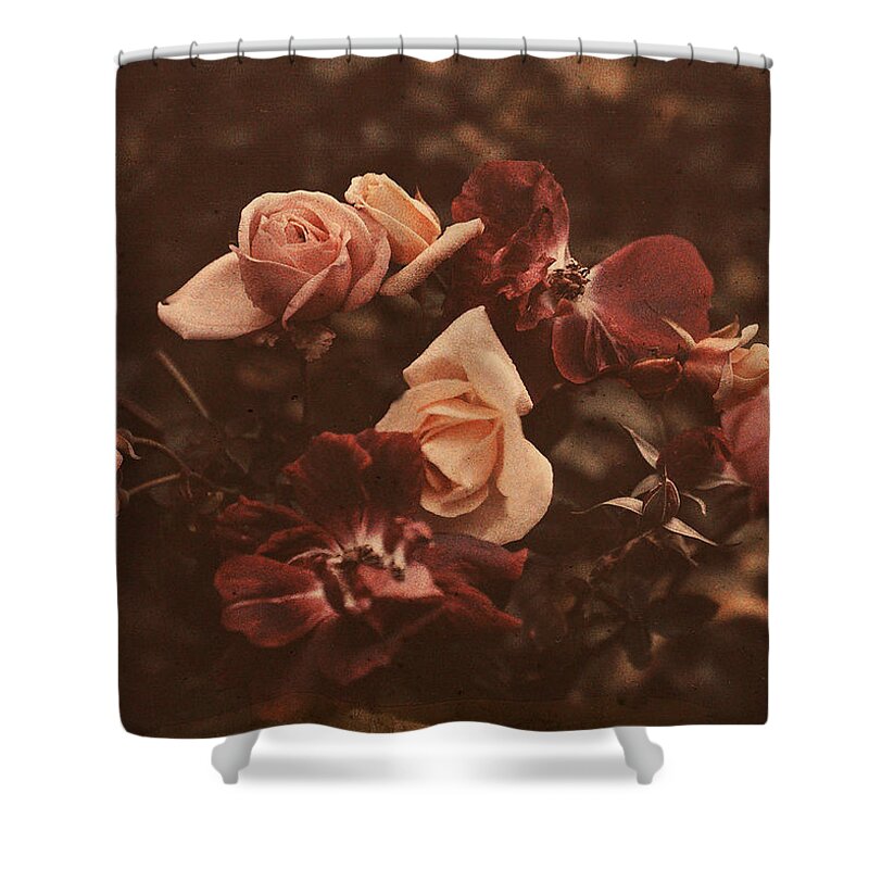 Roses Shower Curtain featuring the digital art Roses of Yesteryear by Sarah Vernon