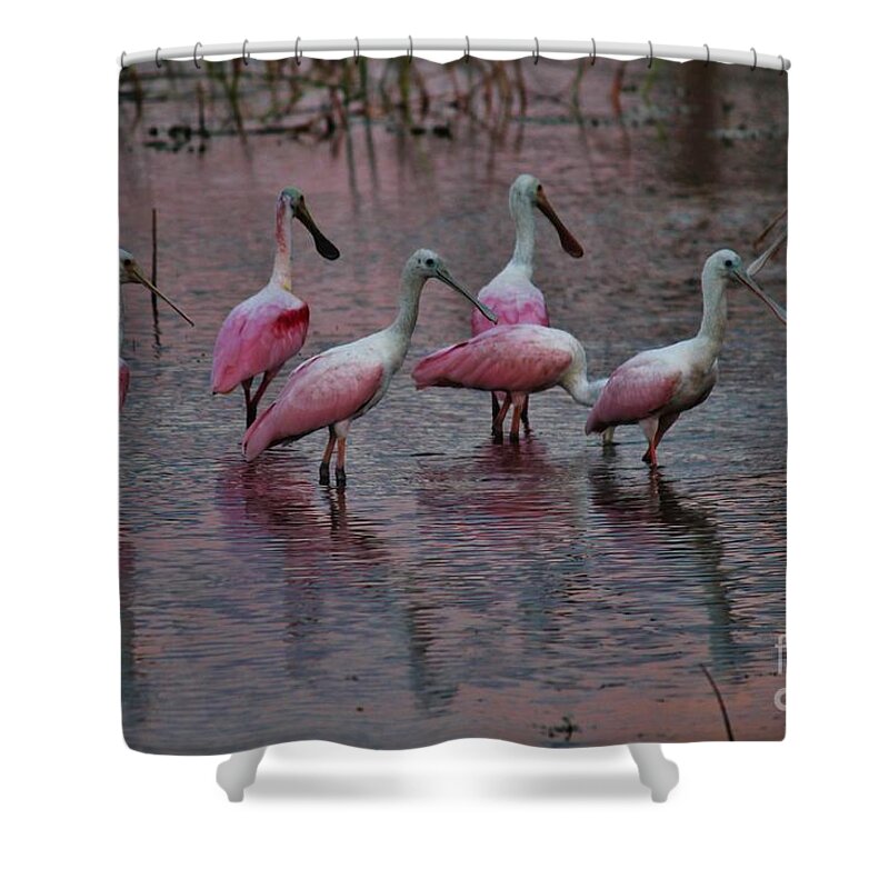Kerisart Shower Curtain featuring the photograph Rosette Roundup by Keri West