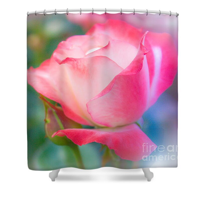 Roses Shower Curtain featuring the photograph Rosey by Toni Somes