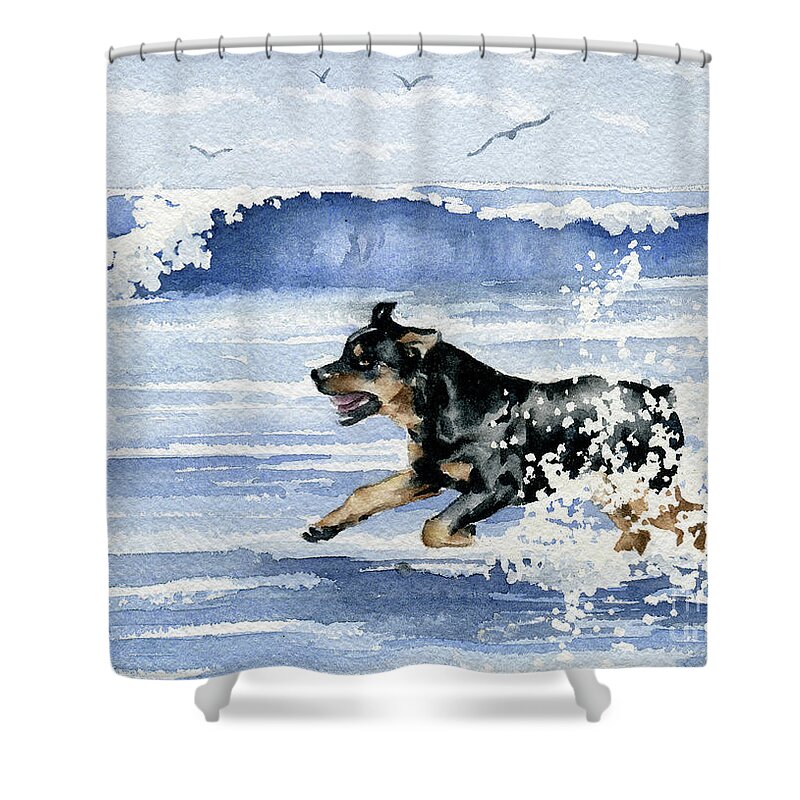 Rottweiler Shower Curtain featuring the painting Rottweiler at the Beach by David Rogers