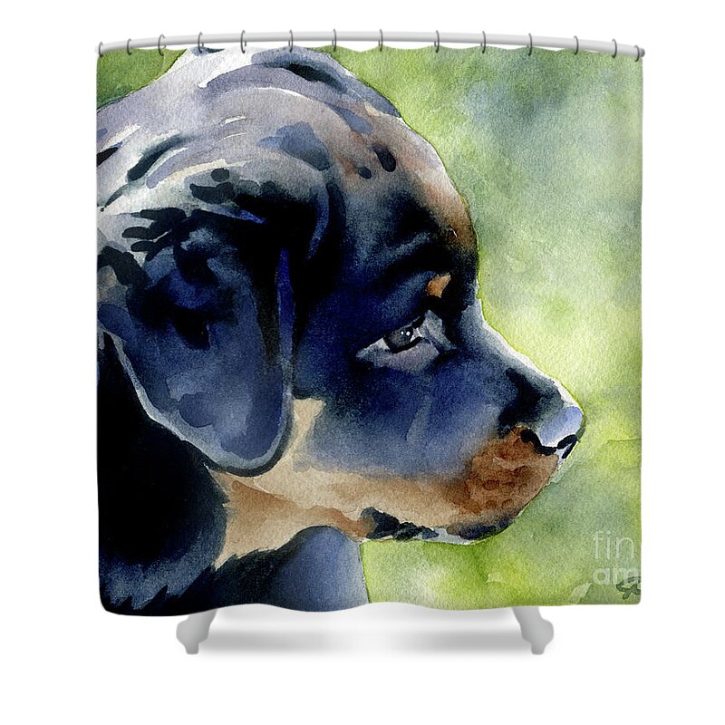 Rottweiler Shower Curtain featuring the painting Rottweiler Puppy by David Rogers