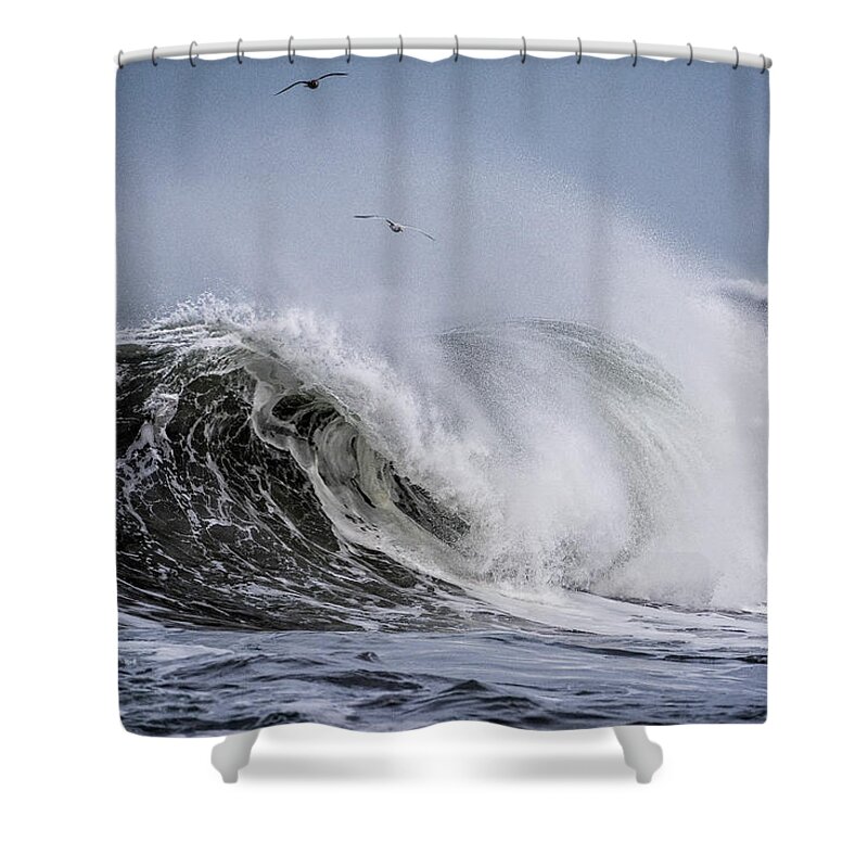 Birds Shower Curtain featuring the photograph Rough Seas by Robert Potts