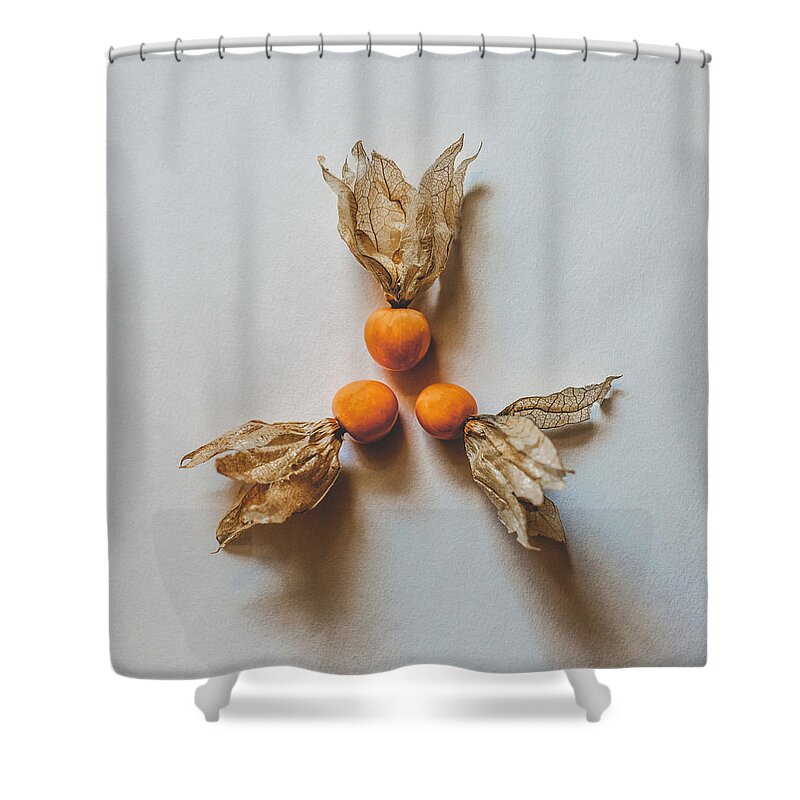 Autumn Colours Shower Curtain featuring the photograph Round of Three by Kate Morton