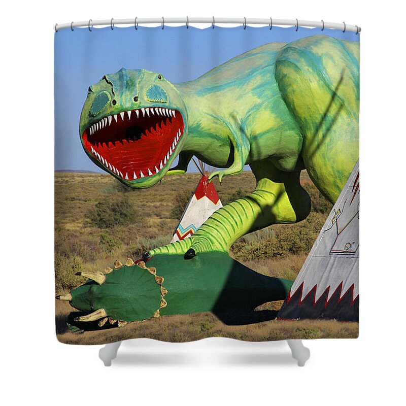 Route 66 Shower Curtain featuring the photograph Route 66 Can Be Brutal by Mike McGlothlen