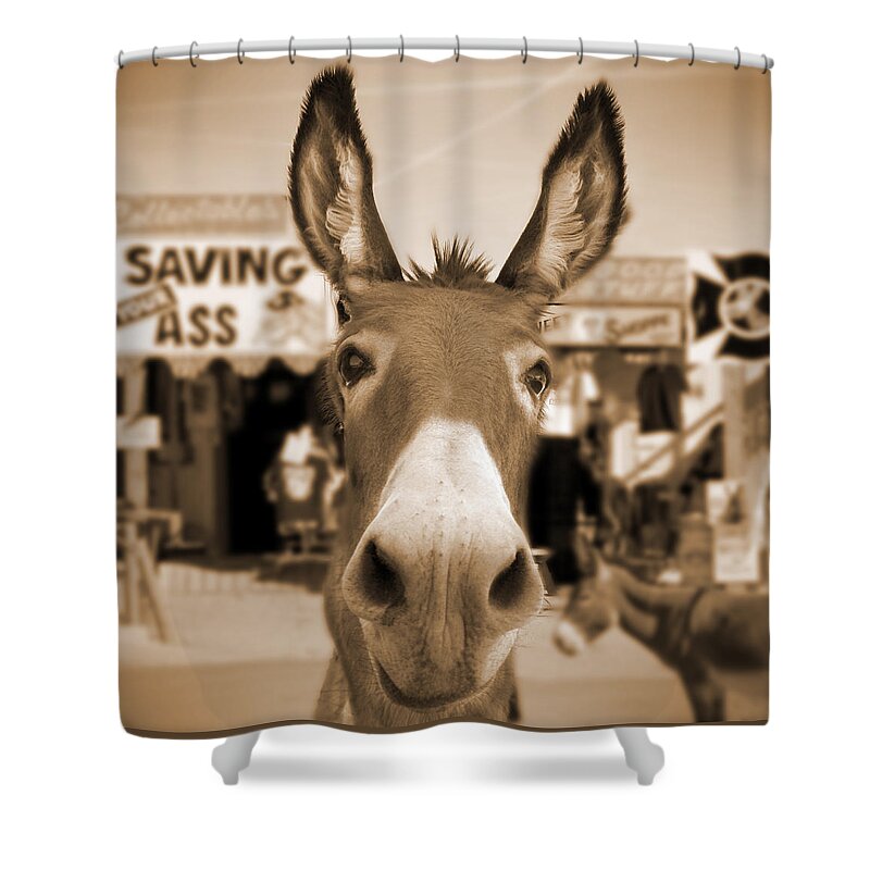 Route 66 Shower Curtain featuring the photograph Route 66 - Oatman Donkeys by Mike McGlothlen
