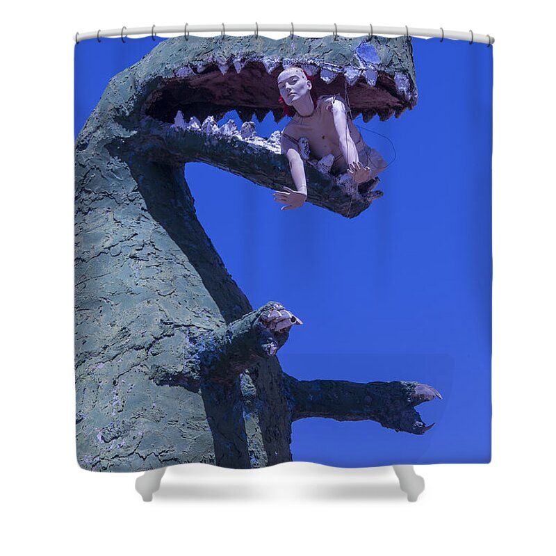 Roadside Dinosaur Shower Curtain featuring the photograph Route 66 Roadside Dinosaur by Garry Gay