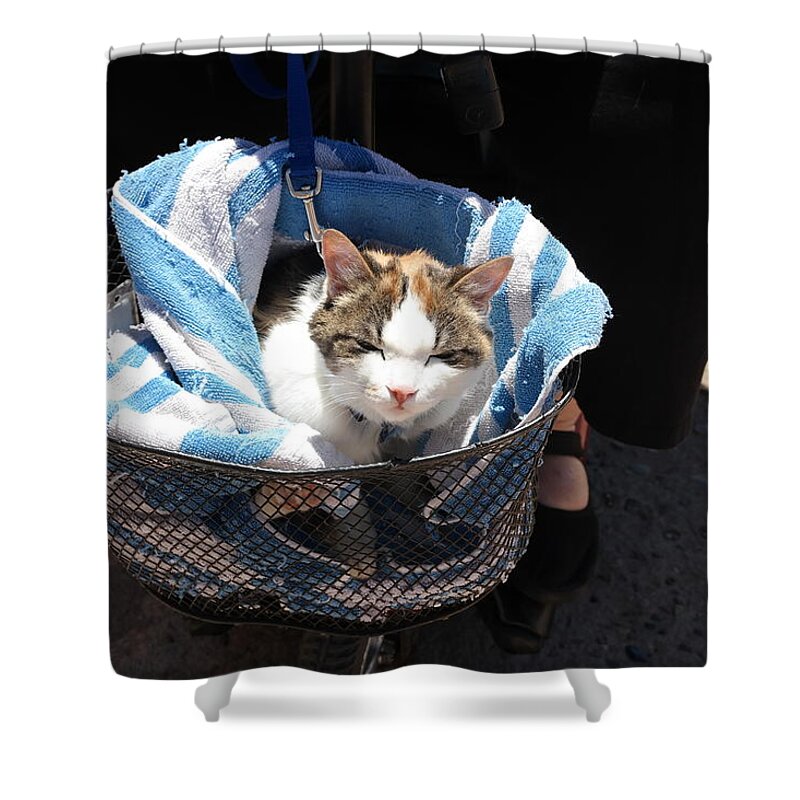  Shower Curtain featuring the photograph Royal Carriage by Carl Wilkerson