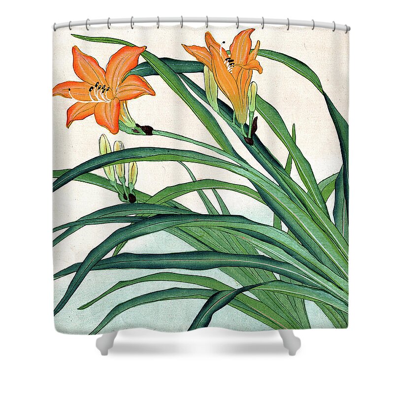  Shower Curtain featuring the painting Roys Collection 1 by John Gholson