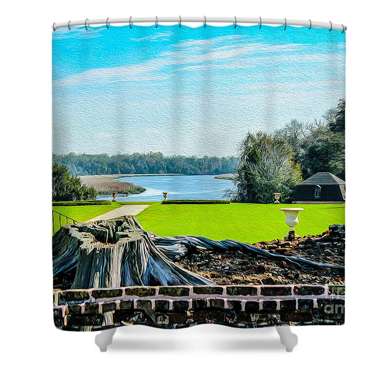 Nature Shower Curtain featuring the photograph Ruins and Beauty by DB Hayes