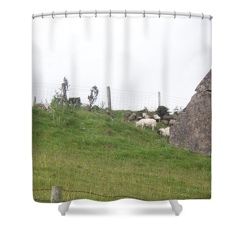 Landscape Shower Curtain featuring the photograph Grazing Sheep by Ruins in the Highlands of Scotland by Kenlynn Schroeder