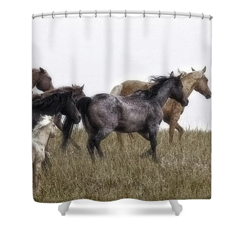 Horses Shower Curtain featuring the photograph Running on November's Wind by Amanda Smith