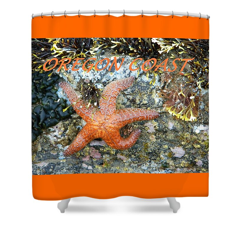 Starfish Shower Curtain featuring the photograph Running Starfish by Gallery Of Hope 