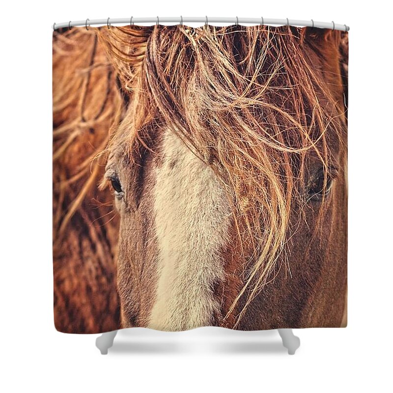Rustic Shower Curtain featuring the photograph Rustic Eyes by Amanda Smith