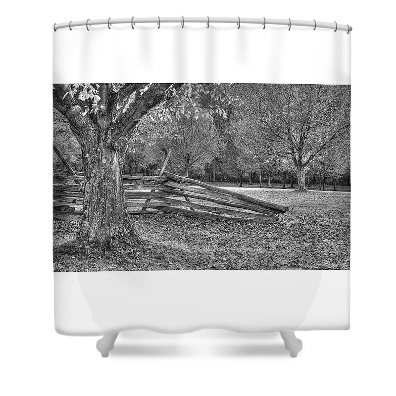 Trees Shower Curtain featuring the photograph Rustic by Michael Mazaika