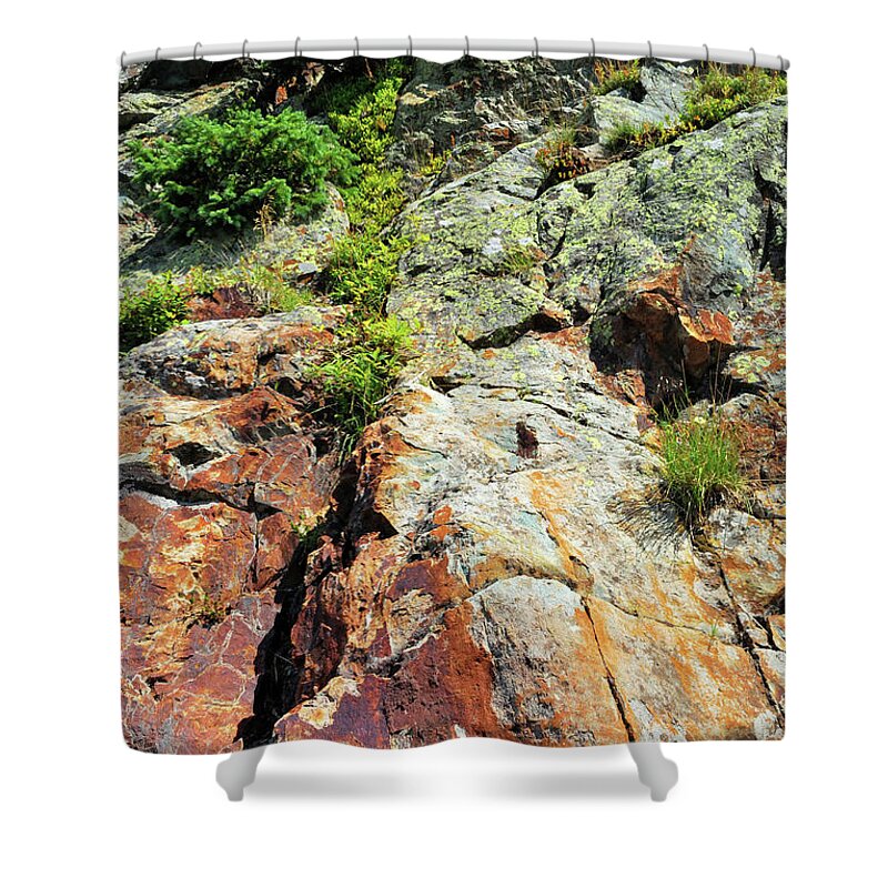 Rock Shower Curtain featuring the photograph Rusty Rock Face by Ron Cline