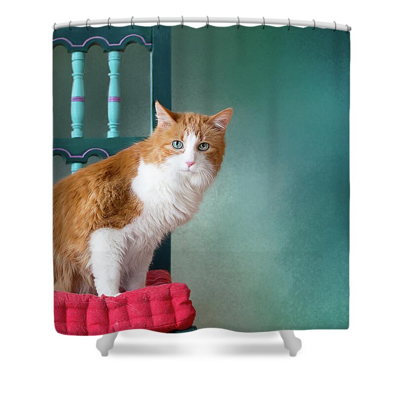 Blue Eyes Shower Curtain featuring the photograph Rusty by Susan Warren