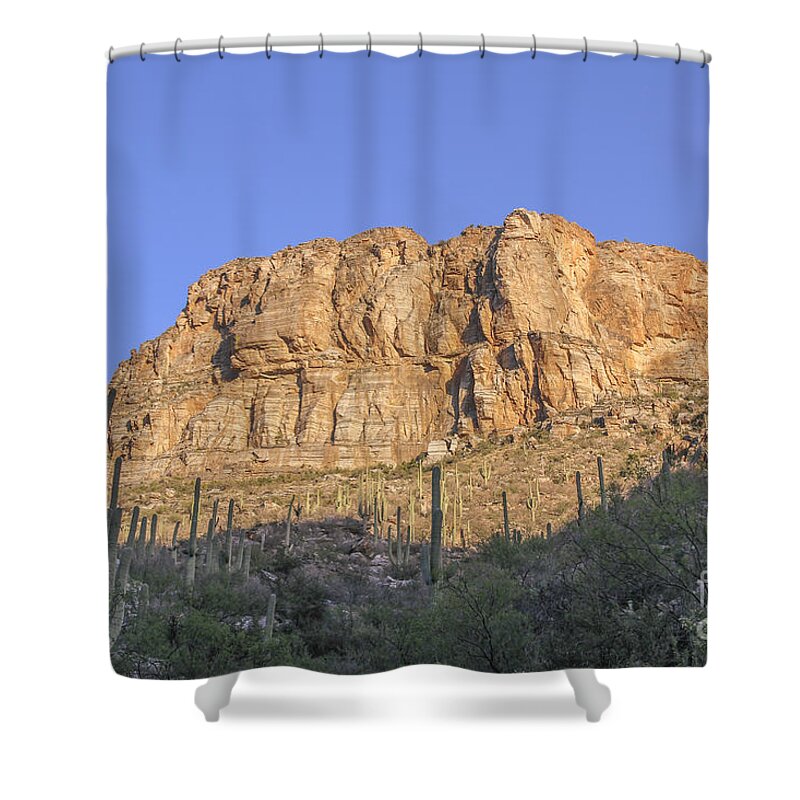 Sabino Canyon Wall 1 Shower Curtain featuring the photograph Sabino Canyon Wall 1 by Jemmy Archer