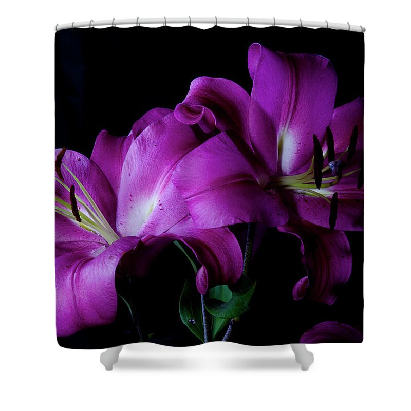 Lillies Shower Curtain featuring the photograph Sad but Pretty by Monte Arnold