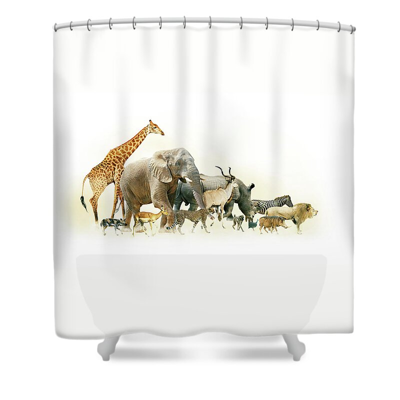 Africa Shower Curtain featuring the photograph Safari Animals Walking Side Horizontal Banner by Good Focused