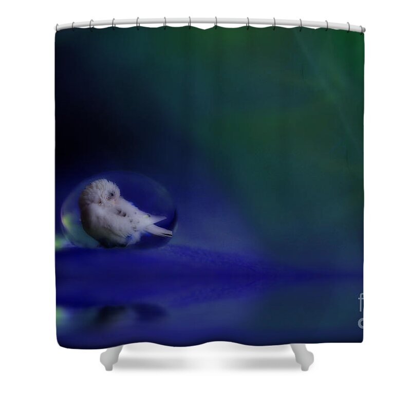 Budgies Shower Curtain featuring the photograph Safe and Sound by Kym Clarke