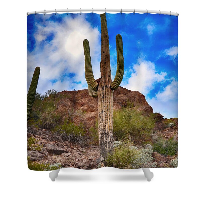 Sonoran Shower Curtain featuring the photograph Saguaro Cactus by Donna Greene