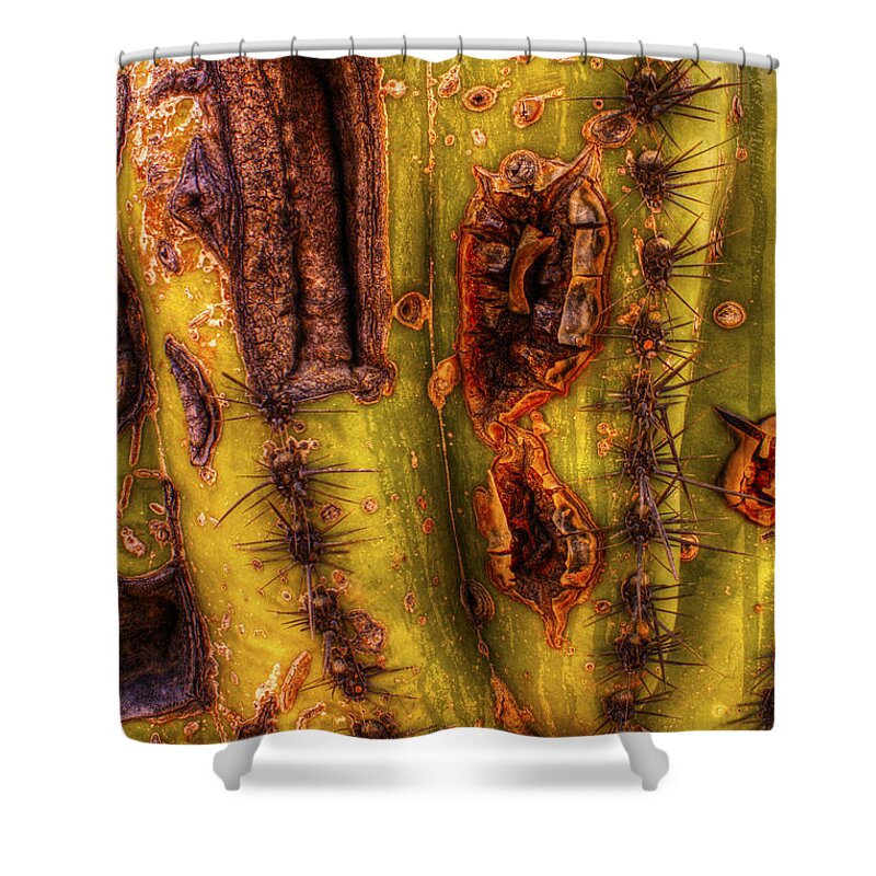 Saguaro Shower Curtain featuring the photograph Saguaro Detail No. 24 by Roger Passman