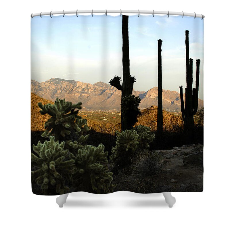 Saguaro Shower Curtain featuring the photograph Saguaro Silhouette by Jill Reger