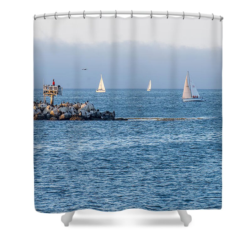 Sailing Shower Curtain featuring the photograph Sailing on the Bay by Derek Dean