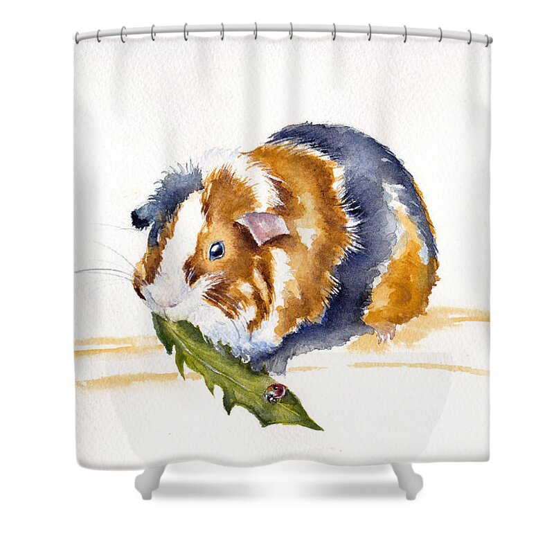 Abyssinian Guinea Pig Shower Curtain featuring the painting Guinea Pig - Salad Days by Debra Hall