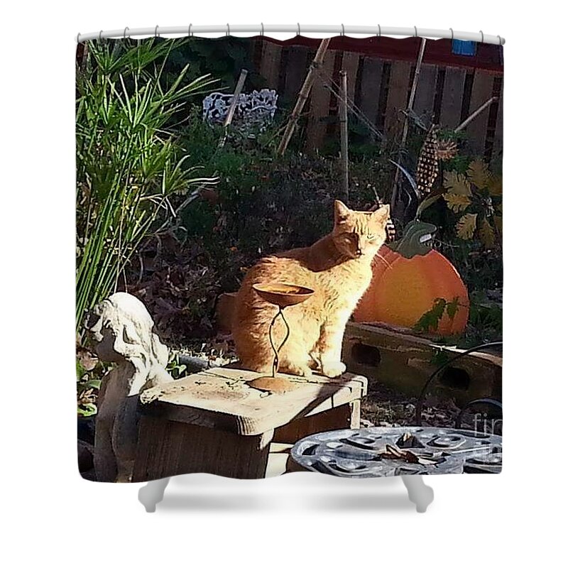 Cat Shower Curtain featuring the photograph Salem in the Garden by Rabiah Seminole