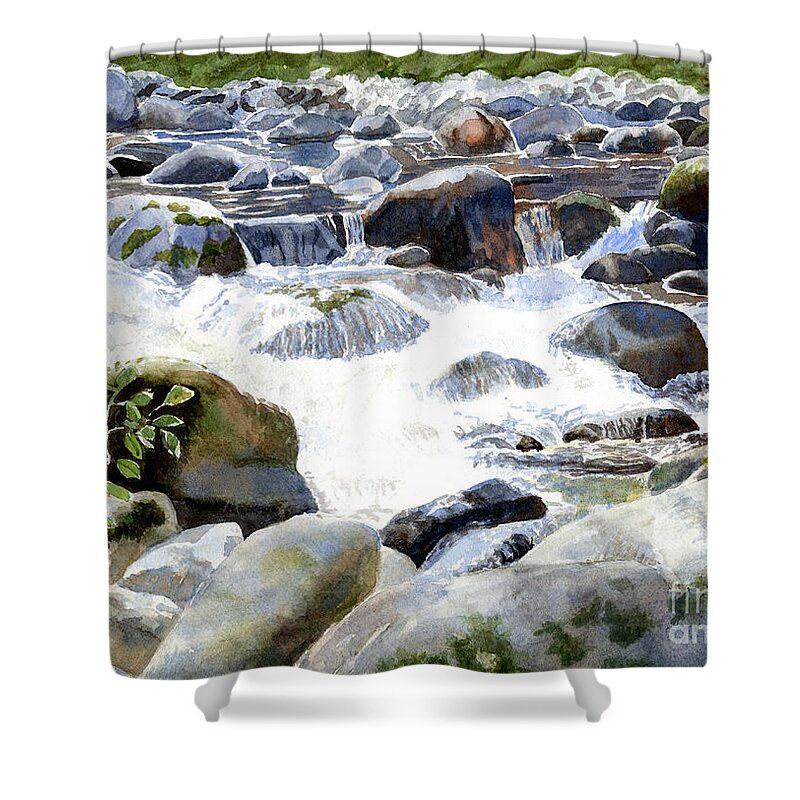 Salmon River Shower Curtain featuring the painting Salmon River Falls and Rocks by Sharon Freeman