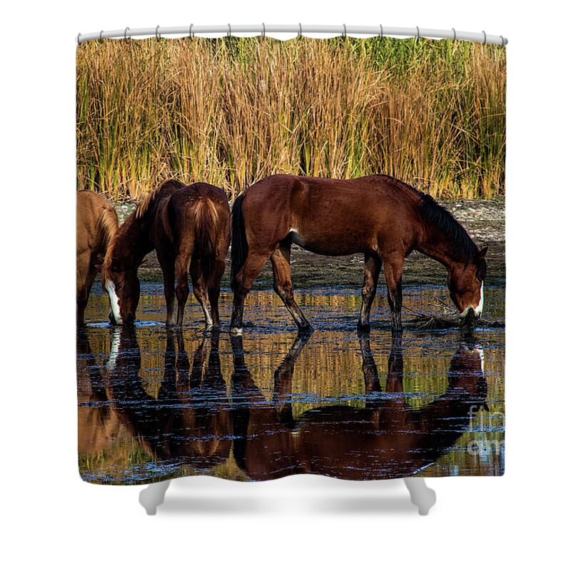 Arizona Shower Curtain featuring the photograph Salt River Horses by Kathy McClure