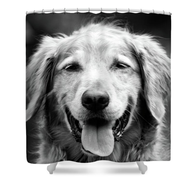 Dog Shower Curtain featuring the photograph Sam Smiling by Julie Niemela