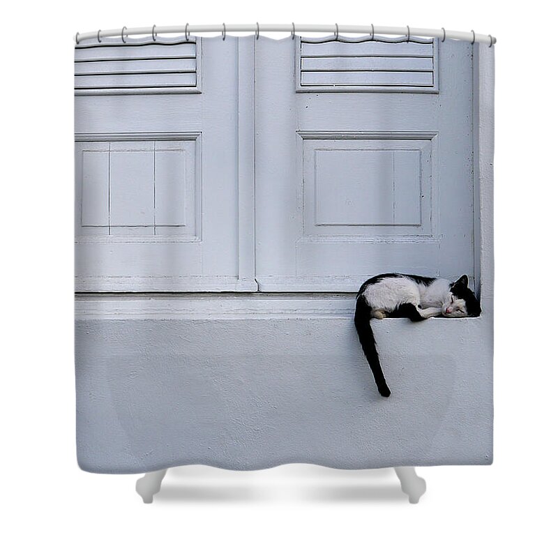 Richard Reeve Shower Curtain featuring the photograph San Juan - Let Sleeping Cats Lie by Richard Reeve