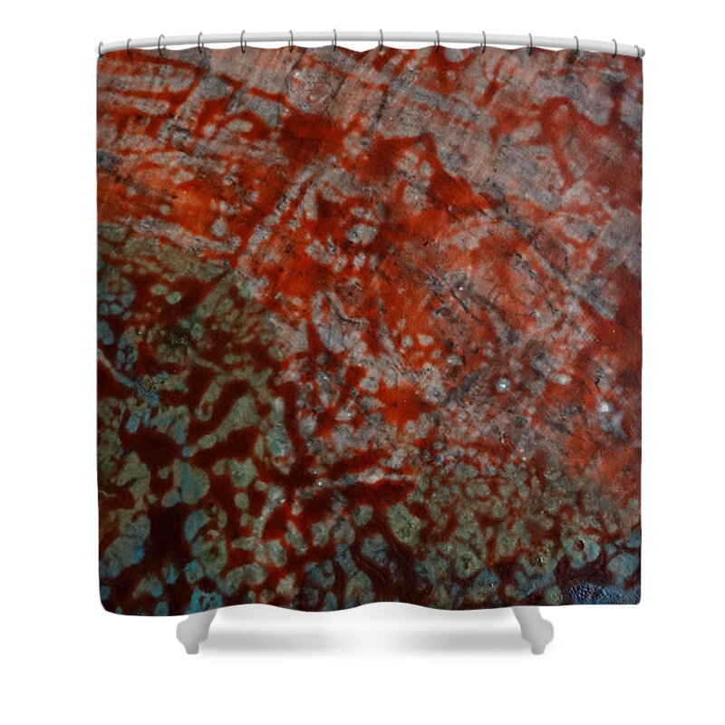 Sand Shower Curtain featuring the painting Sand And Sea II by Tia McDermid