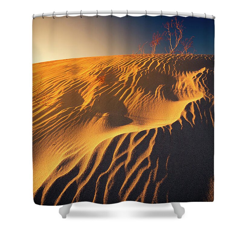 California Shower Curtain featuring the photograph Sand dune flux lines by William Lee