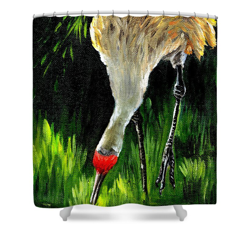 Bird Shower Curtain featuring the painting Sandhill Crane by Carol Allen Anfinsen